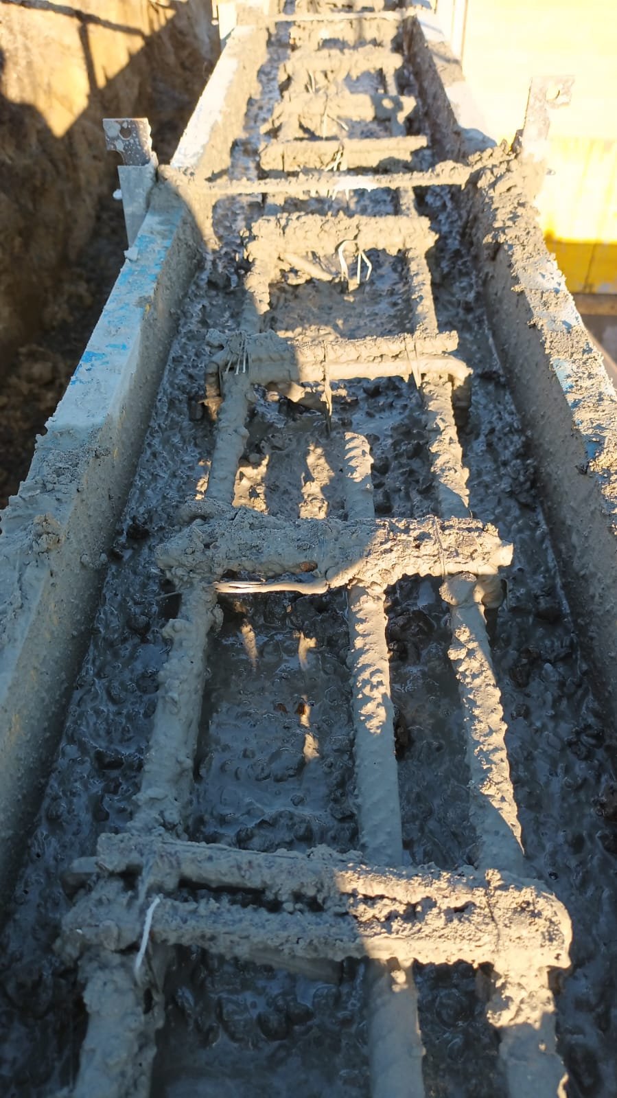 c62ee68a-f124-4775-9ccc-43bca8d6cf65